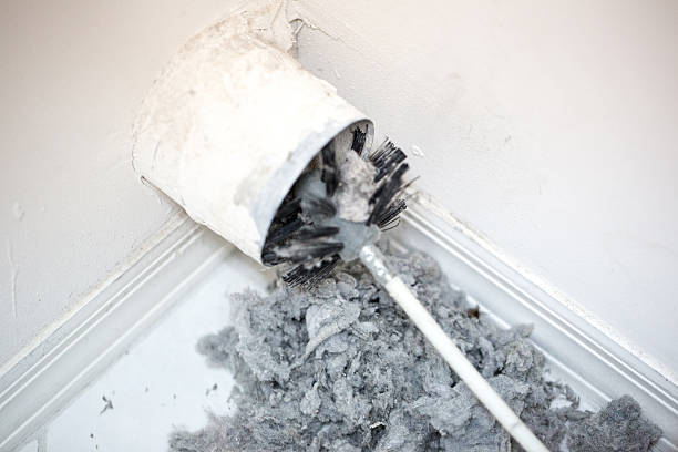 Air Duct Mold Removal in Cresskill, NJ